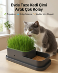 CatGarden™  Topraksız Kedi Çimi Yetiştirme Seti / 5 Paket Tohum hediye