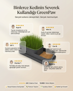 CatGarden™  Topraksız Kedi Çimi Yetiştirme Seti / 5 Paket Tohum hediye