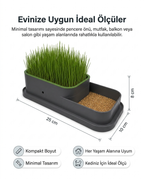 CatGarden™  Topraksız Kedi Çimi Yetiştirme Seti / 5 Paket Tohum hediye