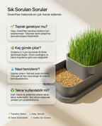 CatGarden™  Topraksız Kedi Çimi Yetiştirme Seti / 5 Paket Tohum hediye