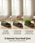 CatGarden™  Topraksız Kedi Çimi Yetiştirme Seti / 5 Paket Tohum hediye