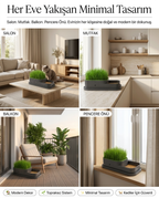 CatGarden™  Topraksız Kedi Çimi Yetiştirme Seti / 5 Paket Tohum hediye